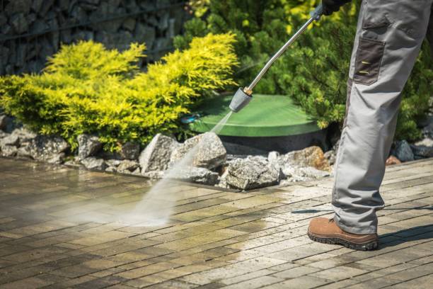 Best Pre-Holiday Cleaning  in Inverness, CA